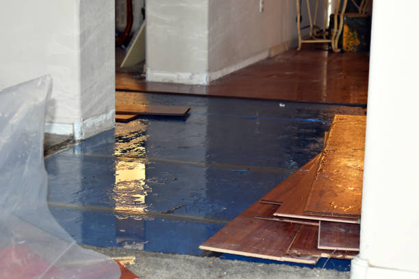 Professional Burst Pipe Cleanup technician working in Forest Junction, WI